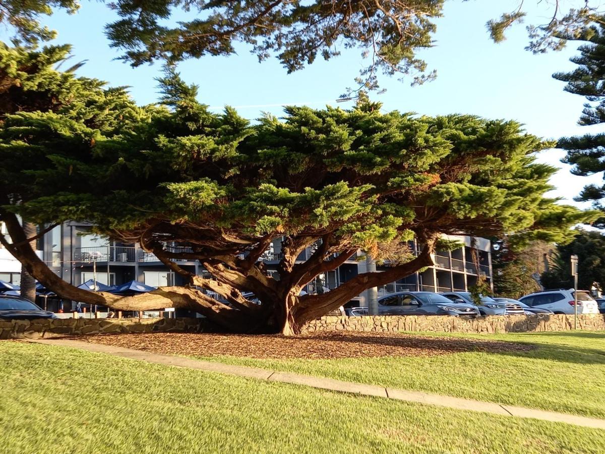 Apartments In Phillip Island Towers - Block C Cowes Exteriér fotografie